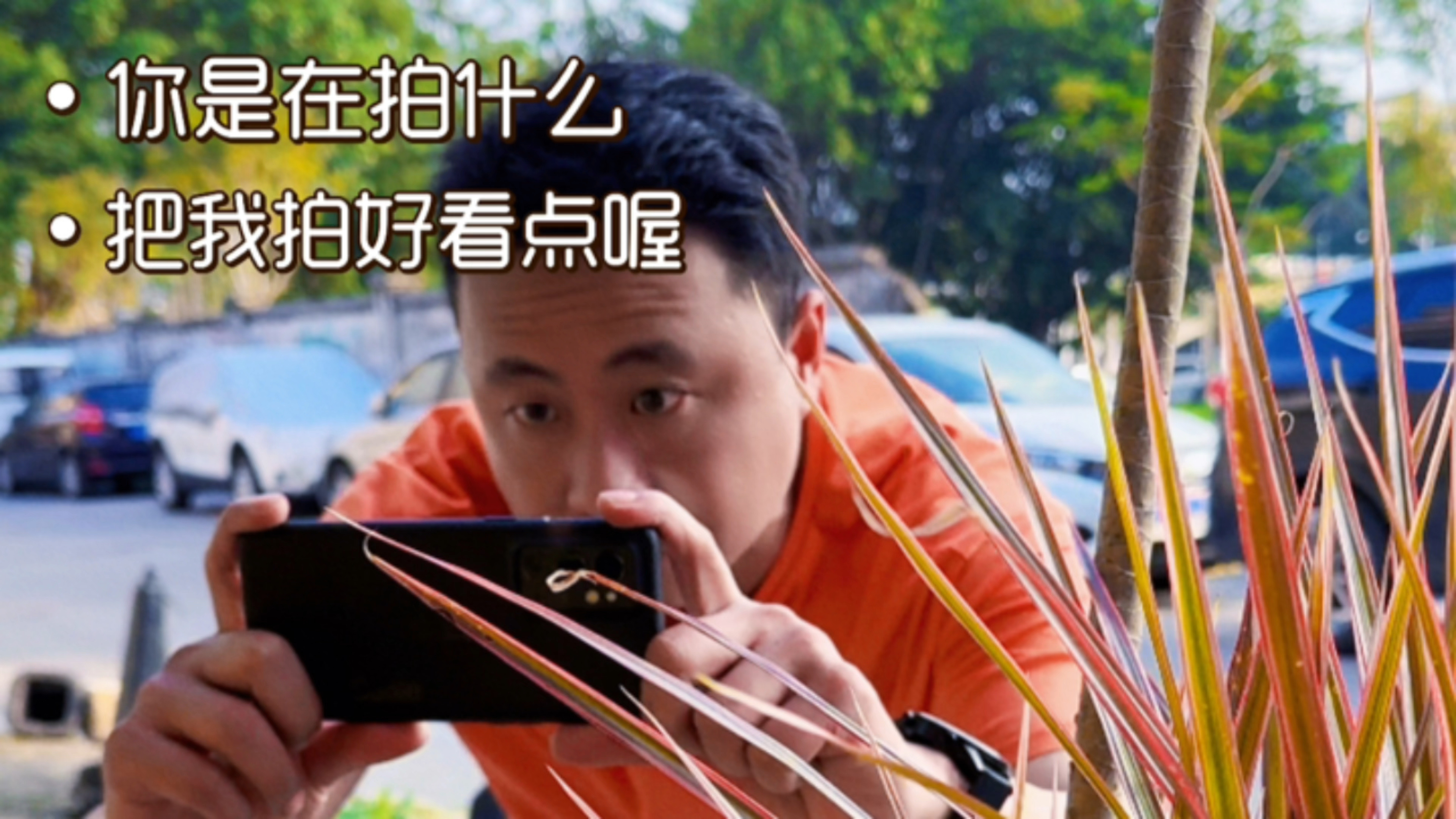 给朋友奶茶店拍个店铺宣传片,还算满意,奖励了我一杯柠檬茶