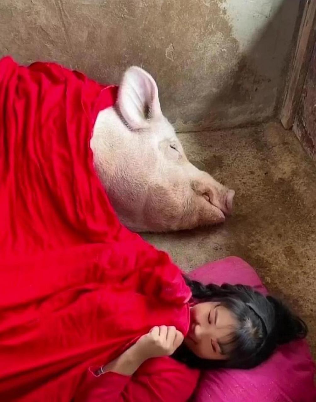 这情况让人怎么说呢?