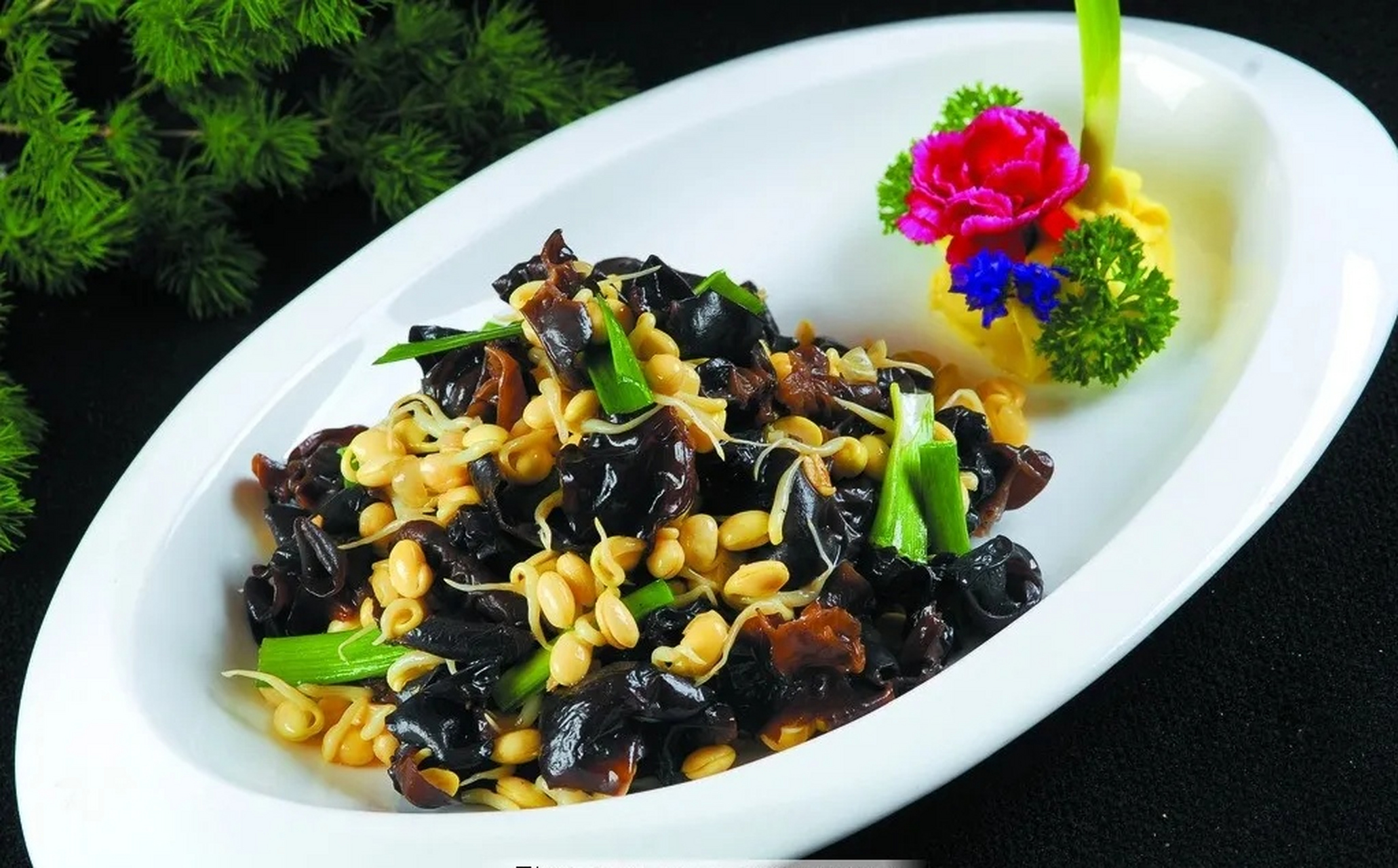 美味又健康,黑木耳炒豆芽,快来学做吧!