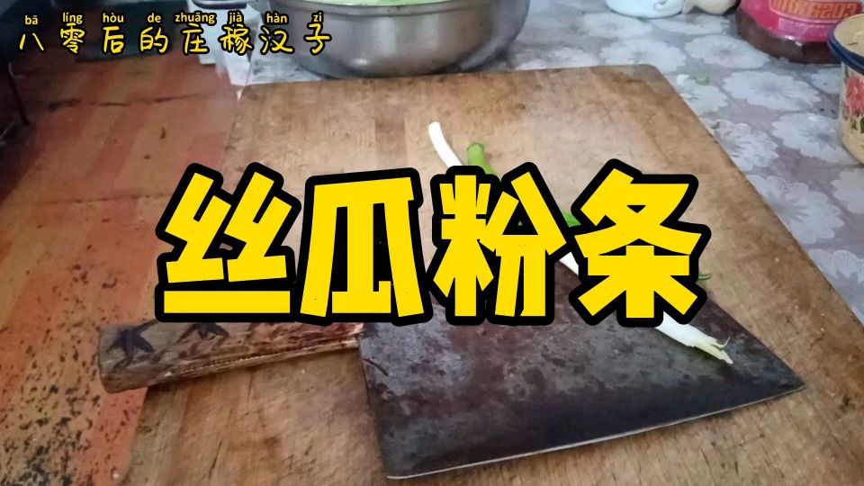 丝瓜炖粉条,好吃美味,吃了三碗米饭。太费饭了