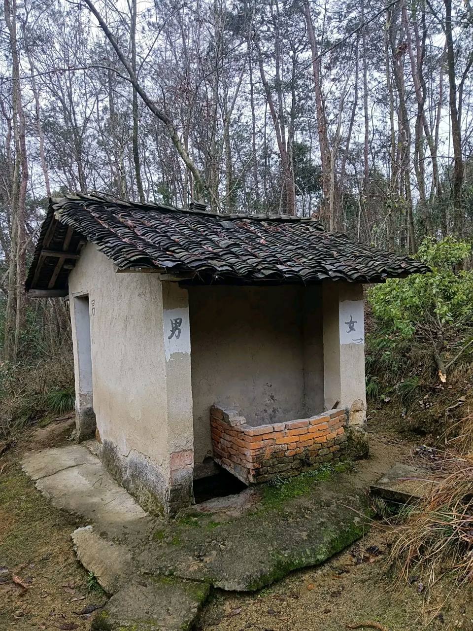 你老家还有这样的厕所吗?