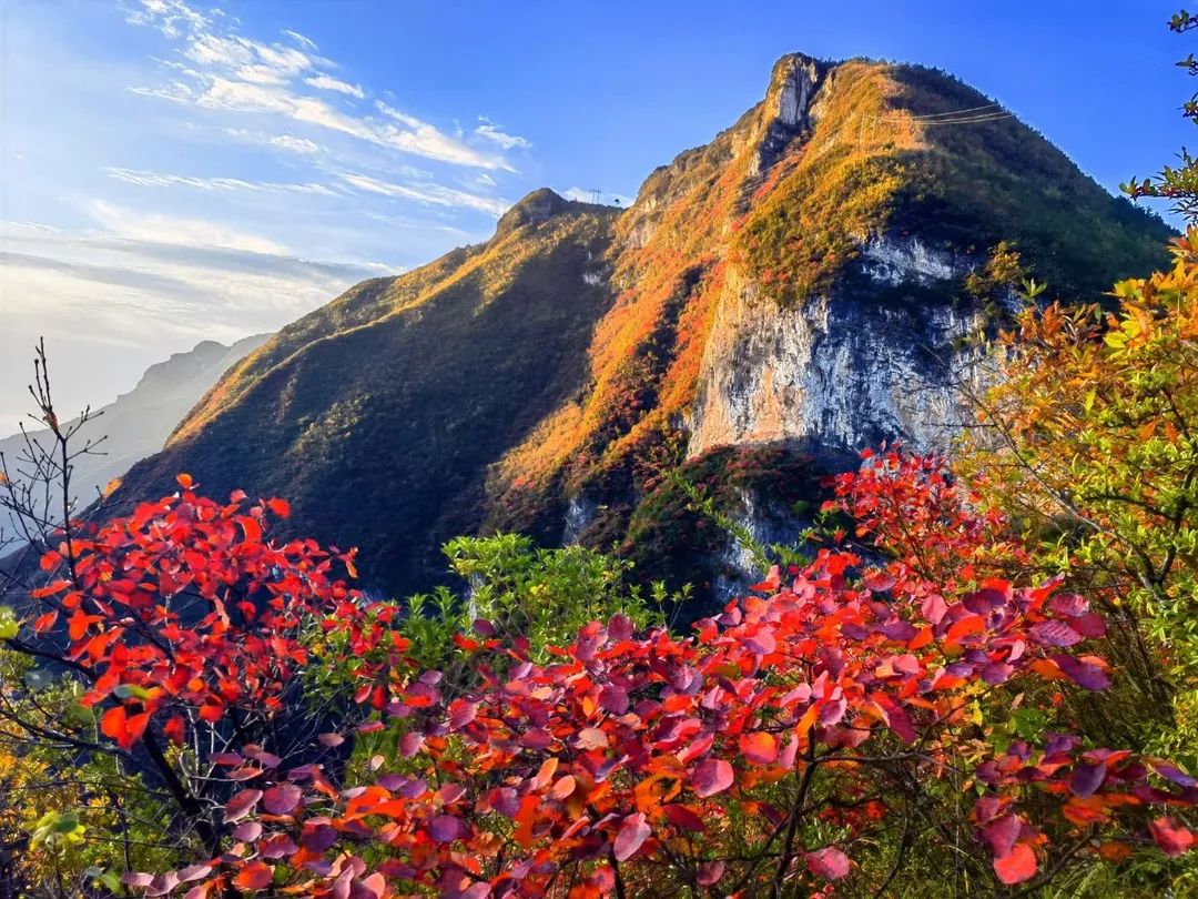 重庆"第一深谷",巫溪兰英大峡谷,深秋时节究竟有多美?
