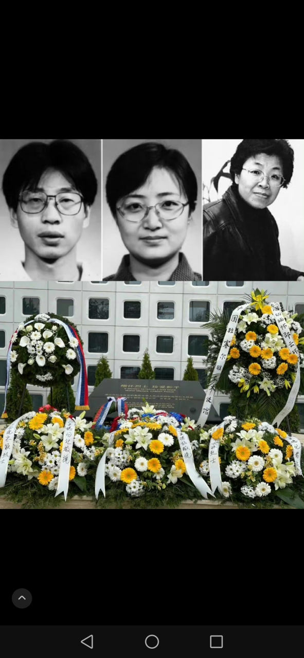 大使馆牺牲的烈士照片图片