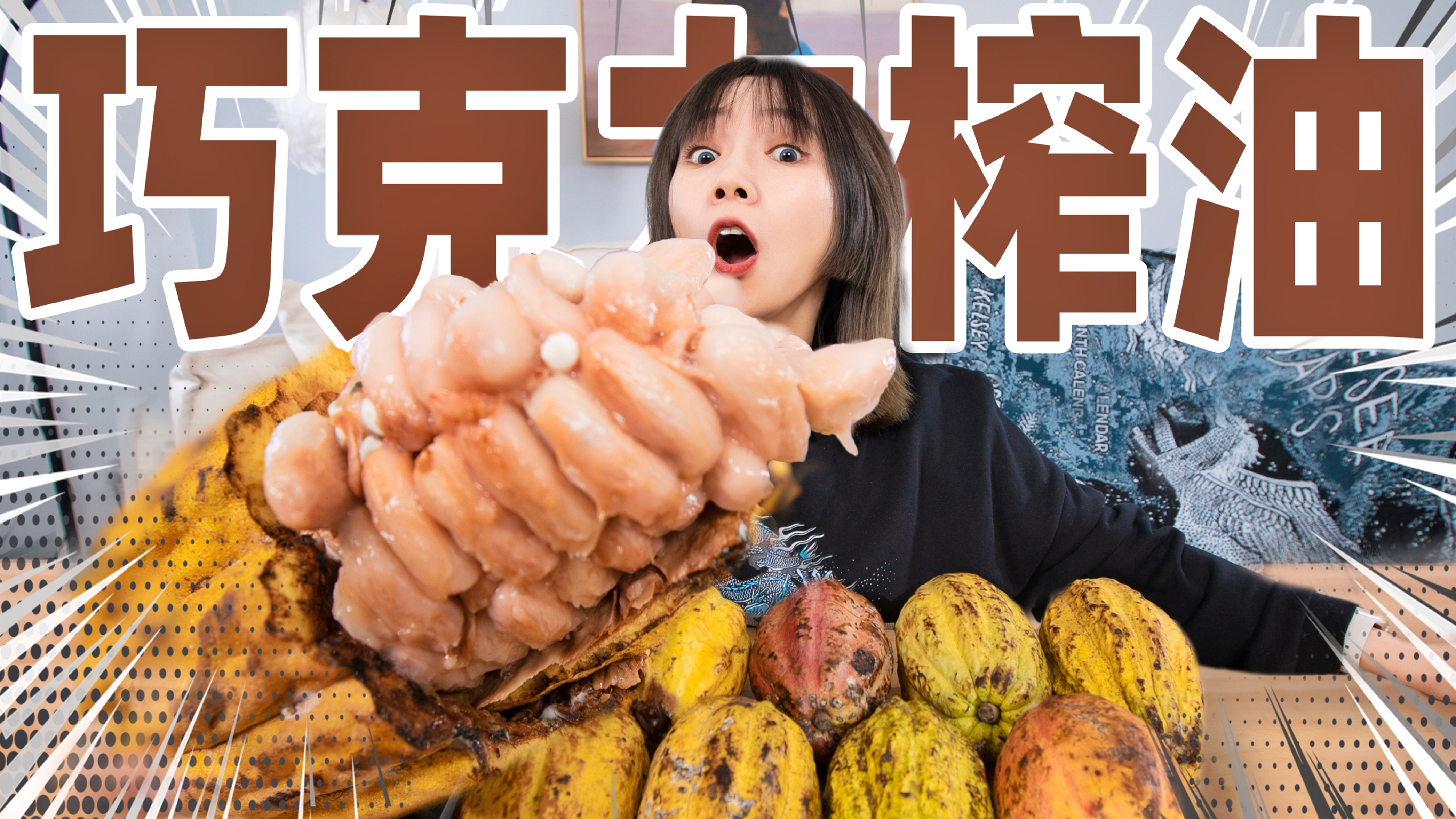 买10斤可可果榨油！把黑巧克力榨成白的！