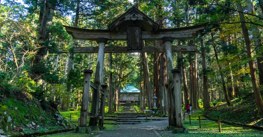 逛逛日本的福井县,深山中的绝美秘境,游客很少比较适合拍照
