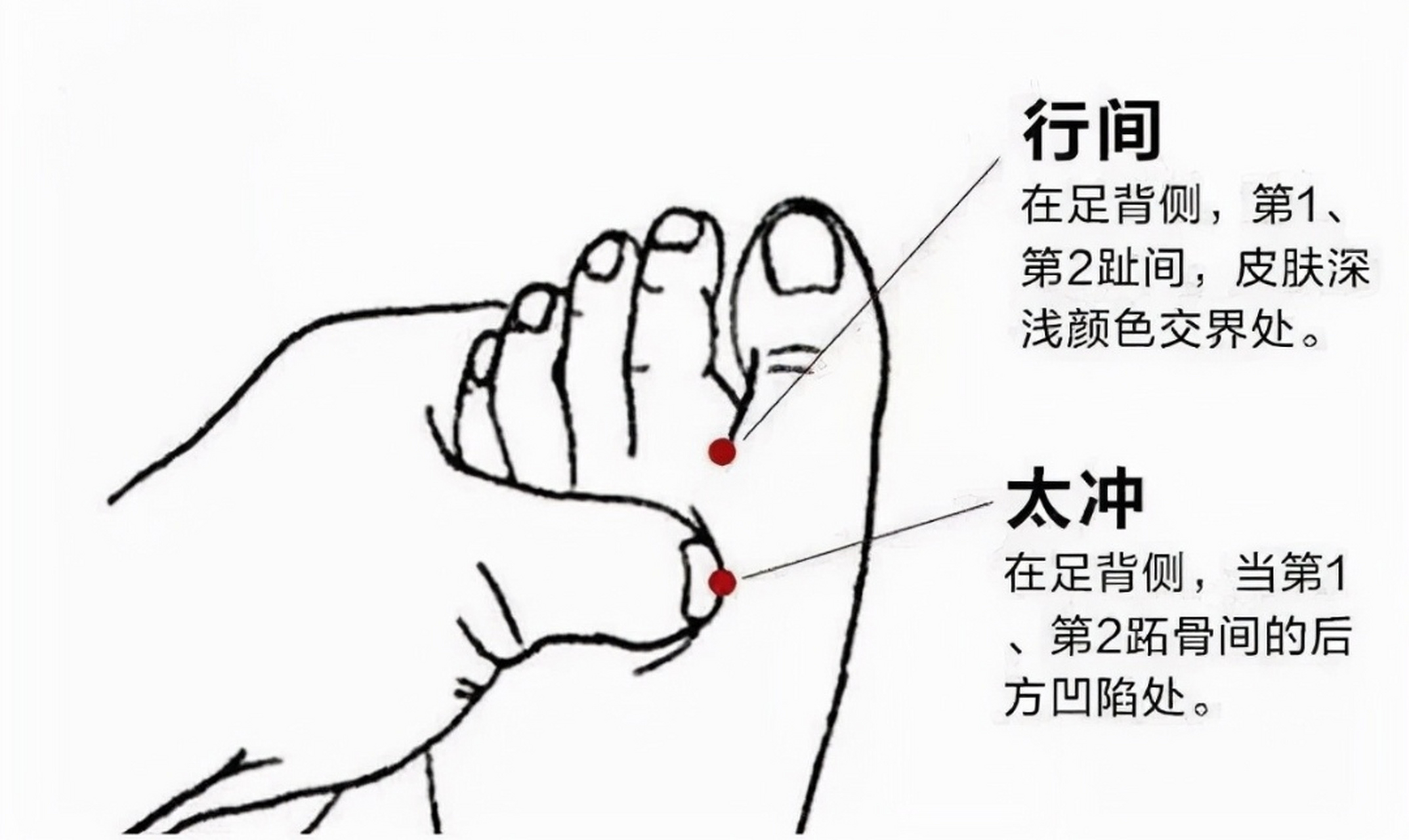 在下关和颊车之间轻轻画圈点按,慢慢慢慢牙痛减轻些了;  2.