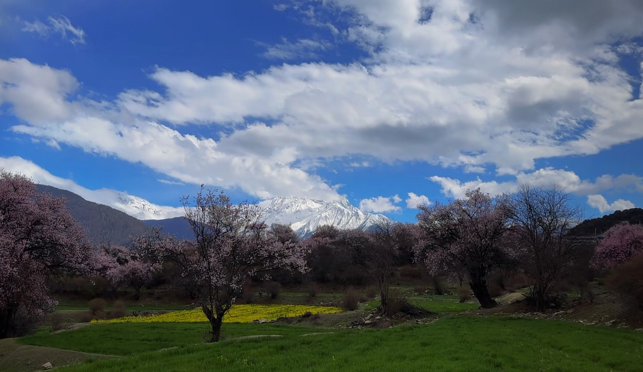 春日风景# 除了人间烟火气,这春日风景也是最抚凡人心的,让你忘掉
