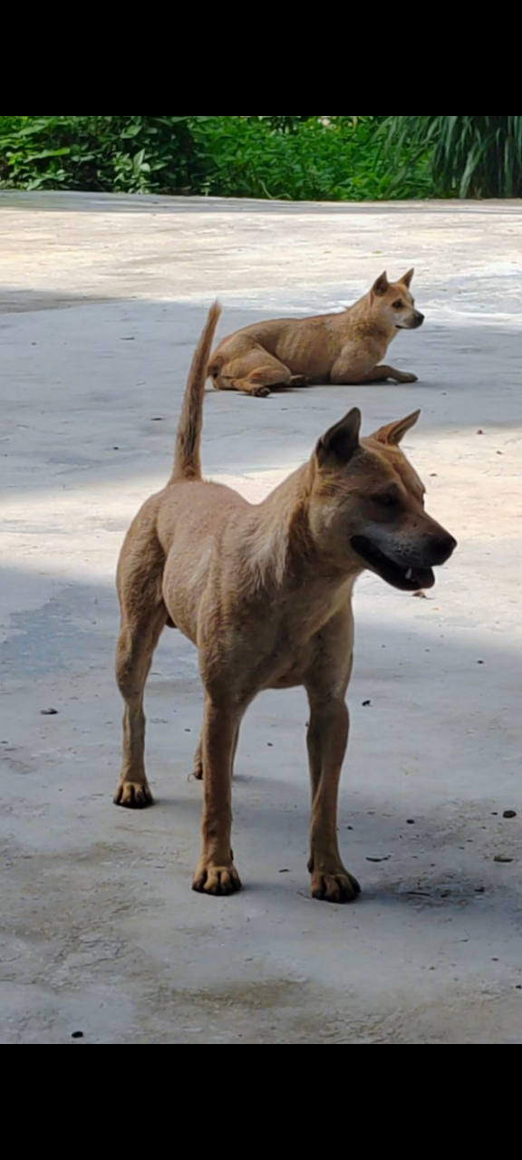 这些是不是我们这个年龄段该玩的东西?说说你多大啦?