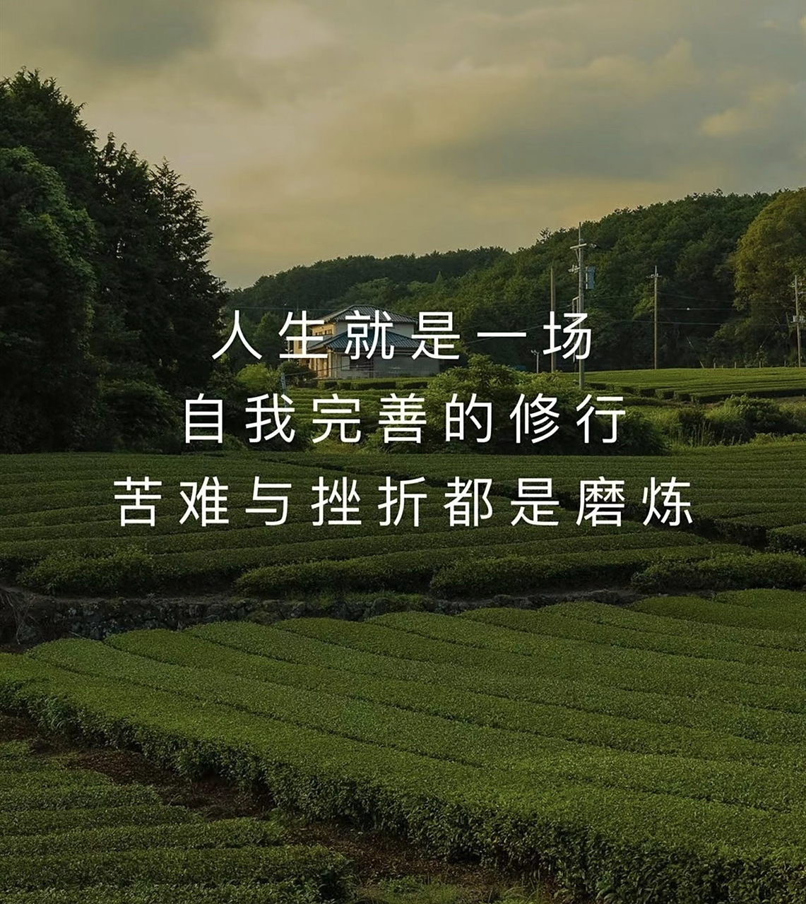 人生就是一场自我完善的修行 苦难与折磨都是磨练