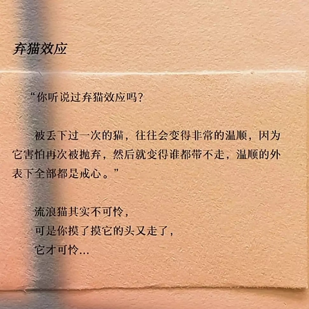 弃猫效应是什么?