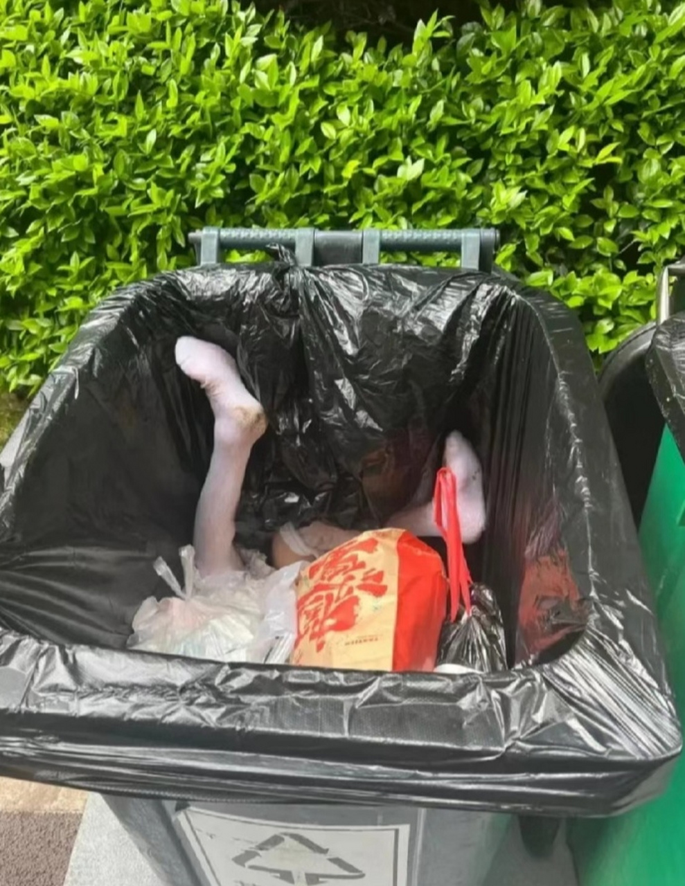 这是谁把自己的女朋友丢进垃圾桶了呀?吓死我了!