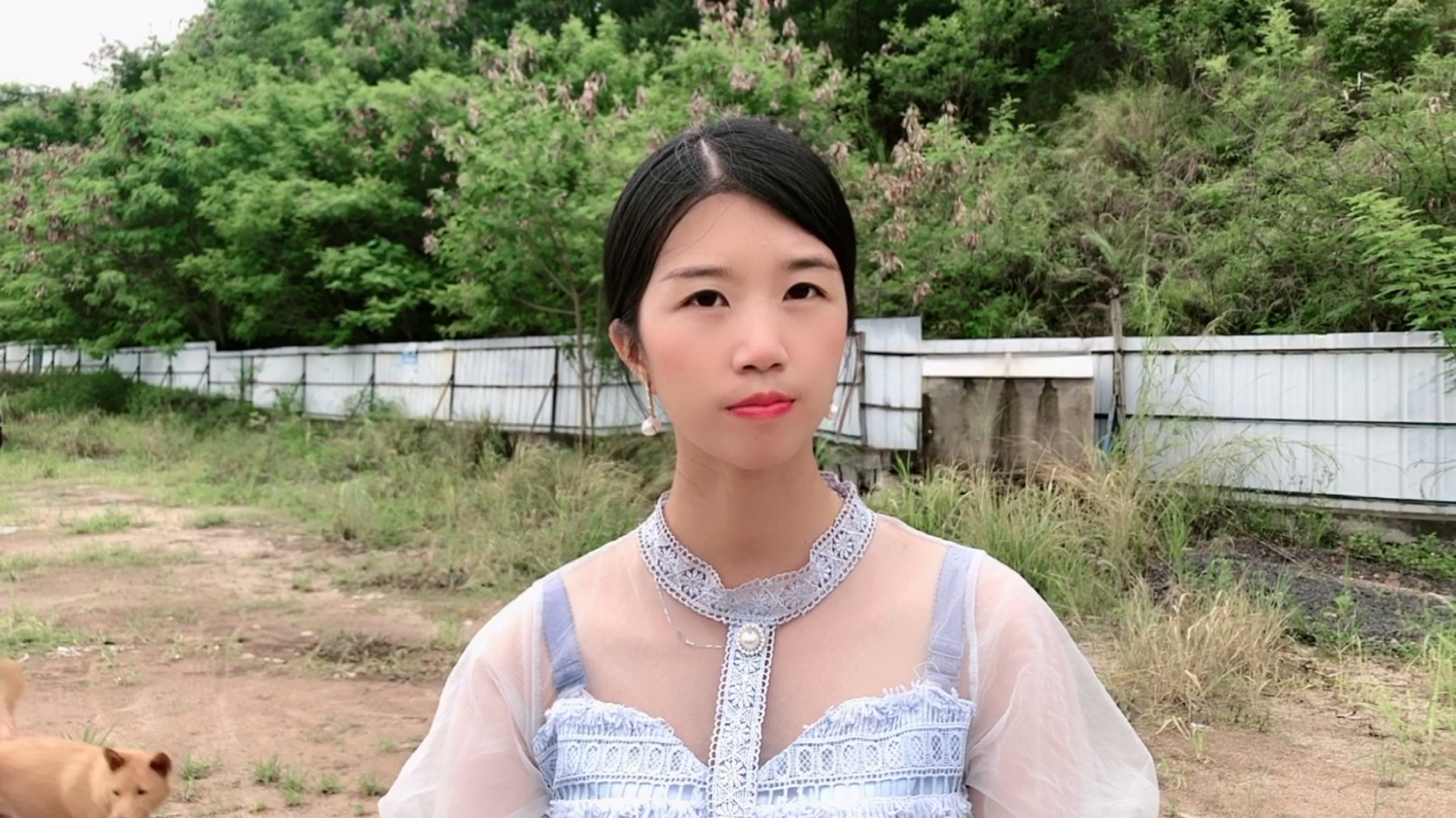 脑筋急转弯,养过电子鸡和电子狗的人,有什么感受呢?