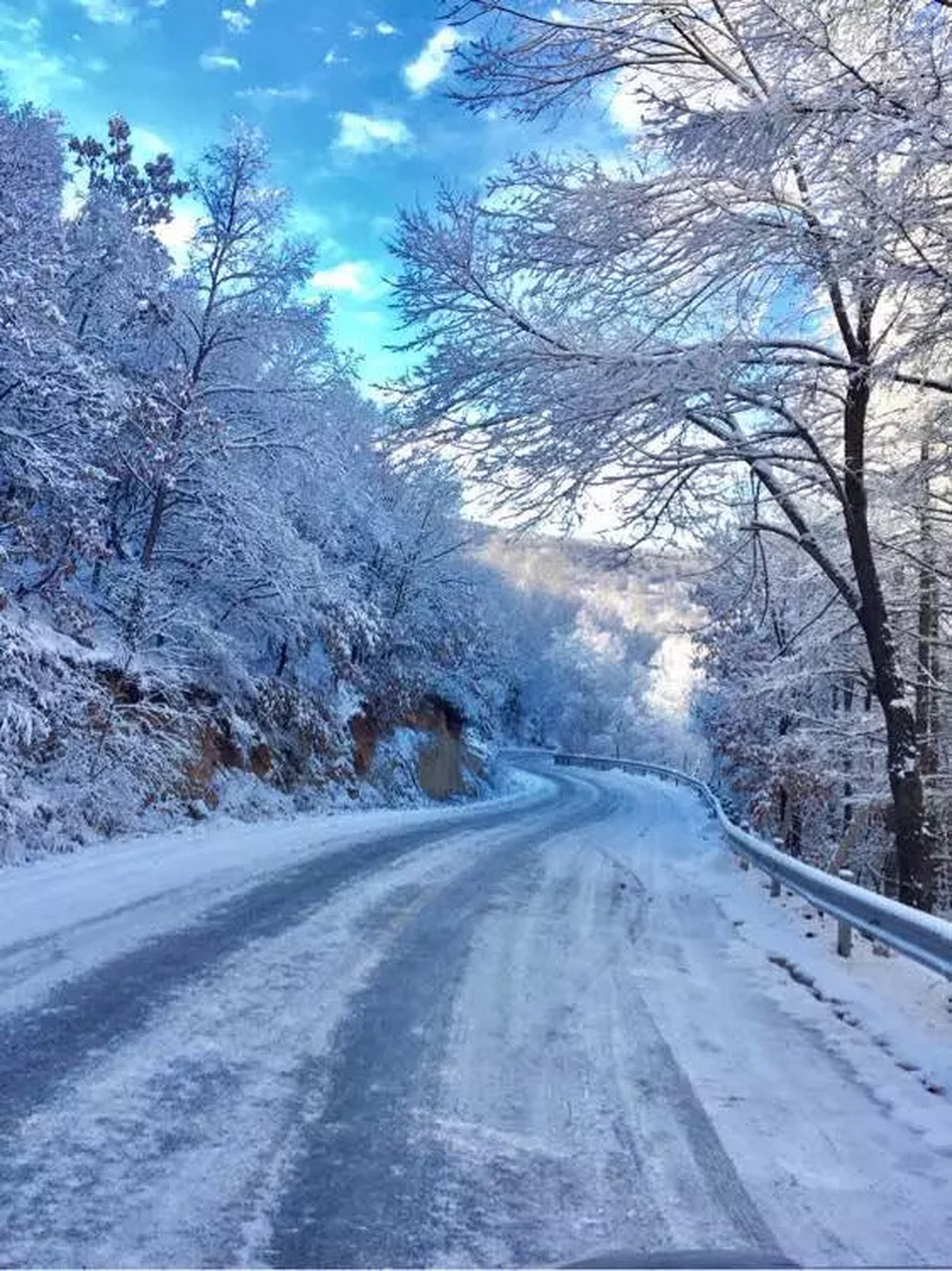 中雪是多大的雪图片