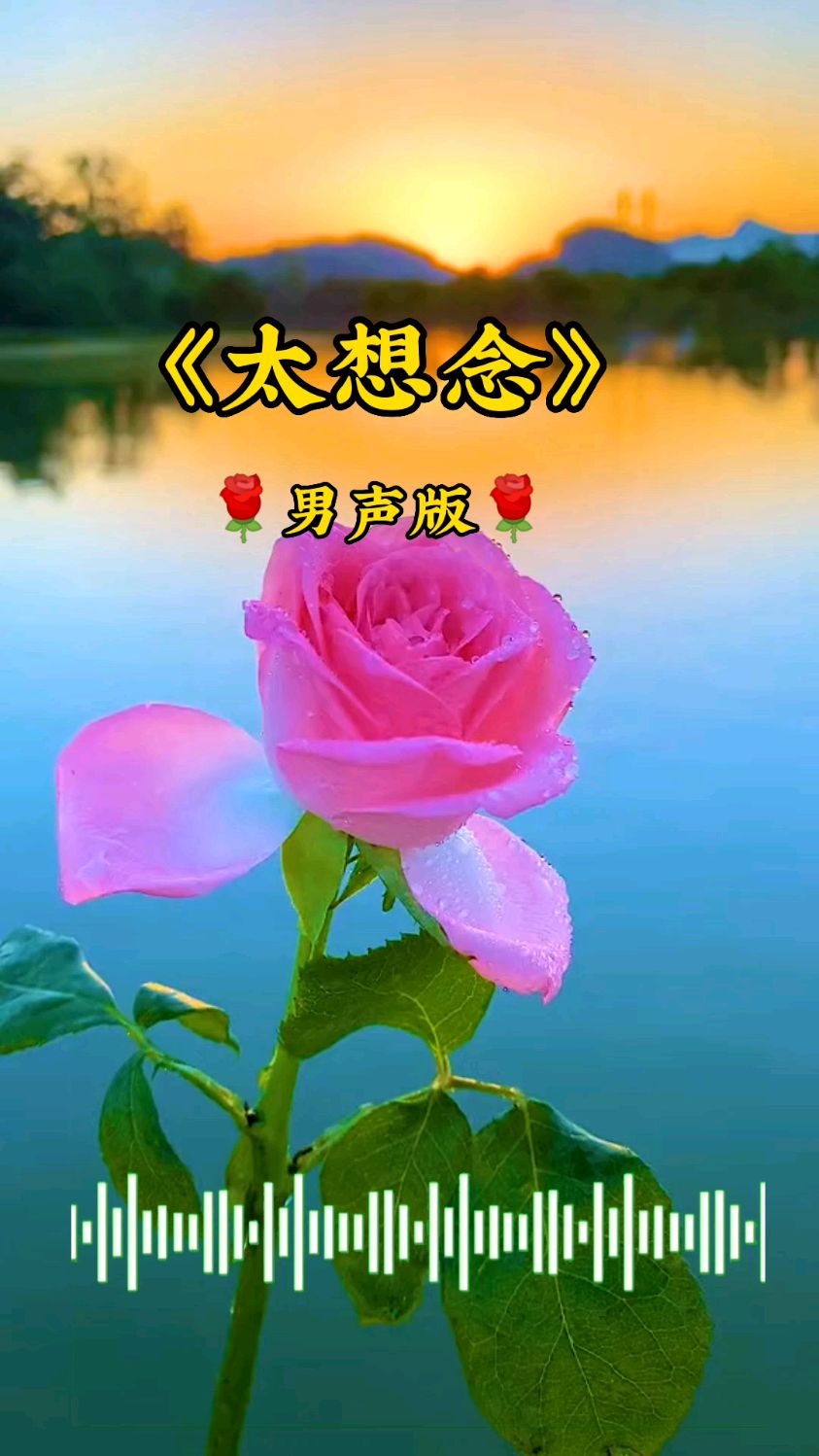 网络热歌太想你男声烟嗓版太好听了