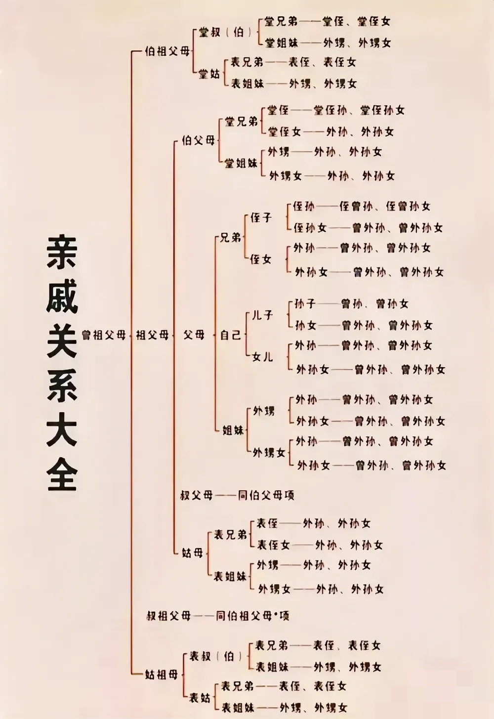 简单的家庭关系示意图图片