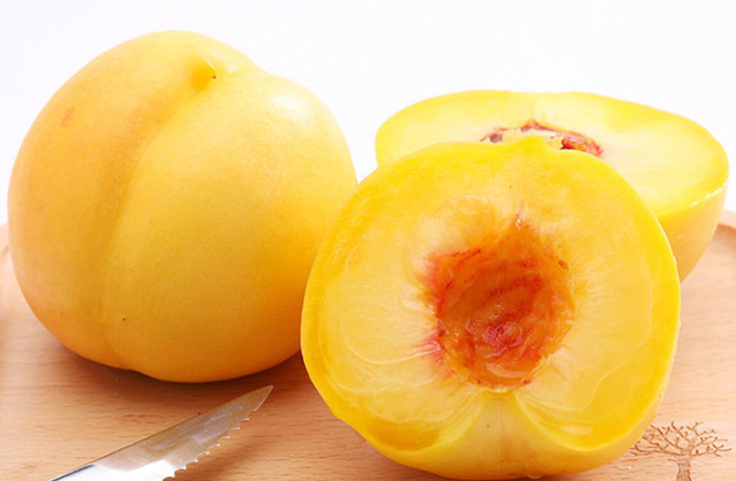 黄金蜜4号桃品种介绍