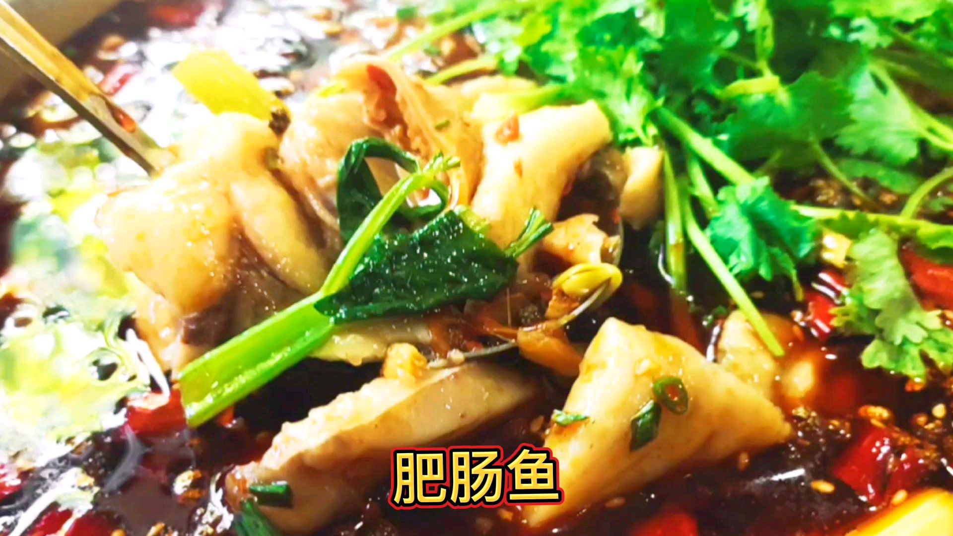 肥肠鱼,我觉得只有川菜老板才做的地道,白好吃!