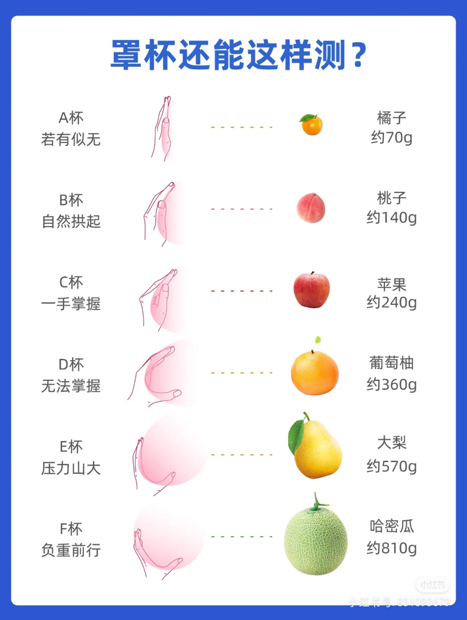 36b示意图图片