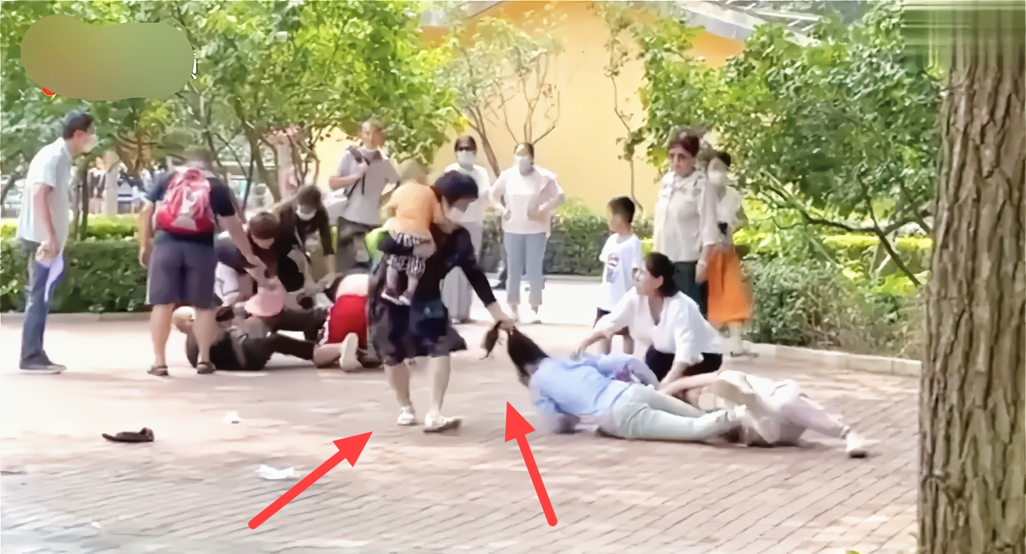 北京一动物园游客打架:动物纷纷效仿