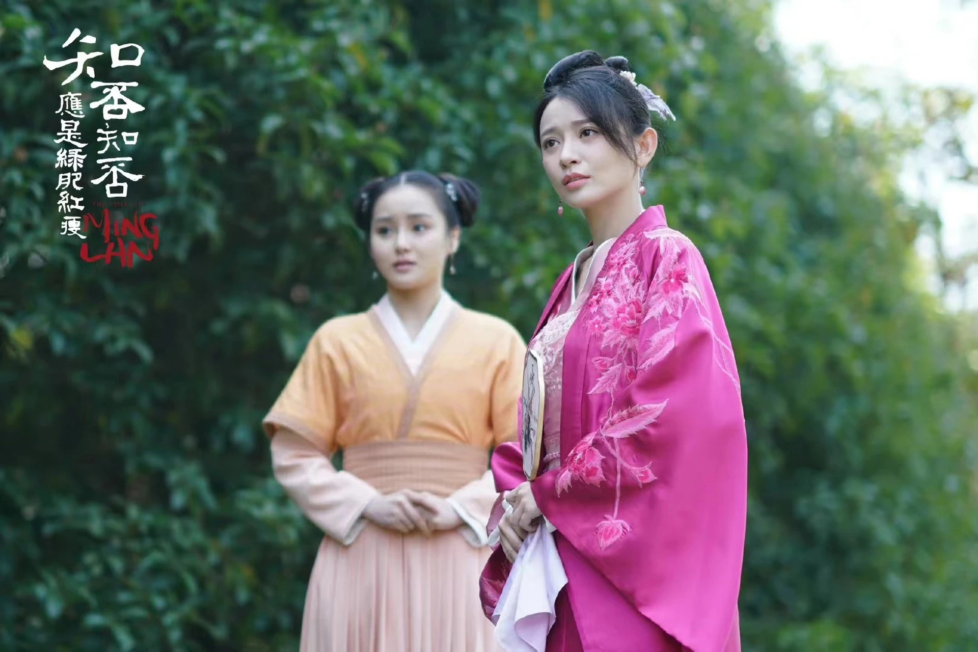 众所周知,当墨兰听到爹爹盛纮满心欢喜对着林小娘"安利"文炎敬时,她