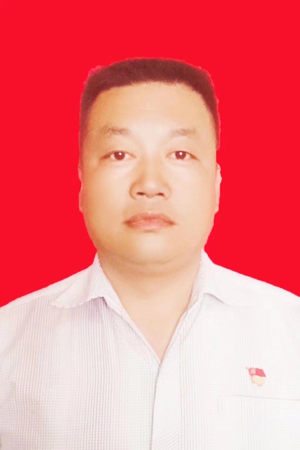 丹凤张杰最新简介