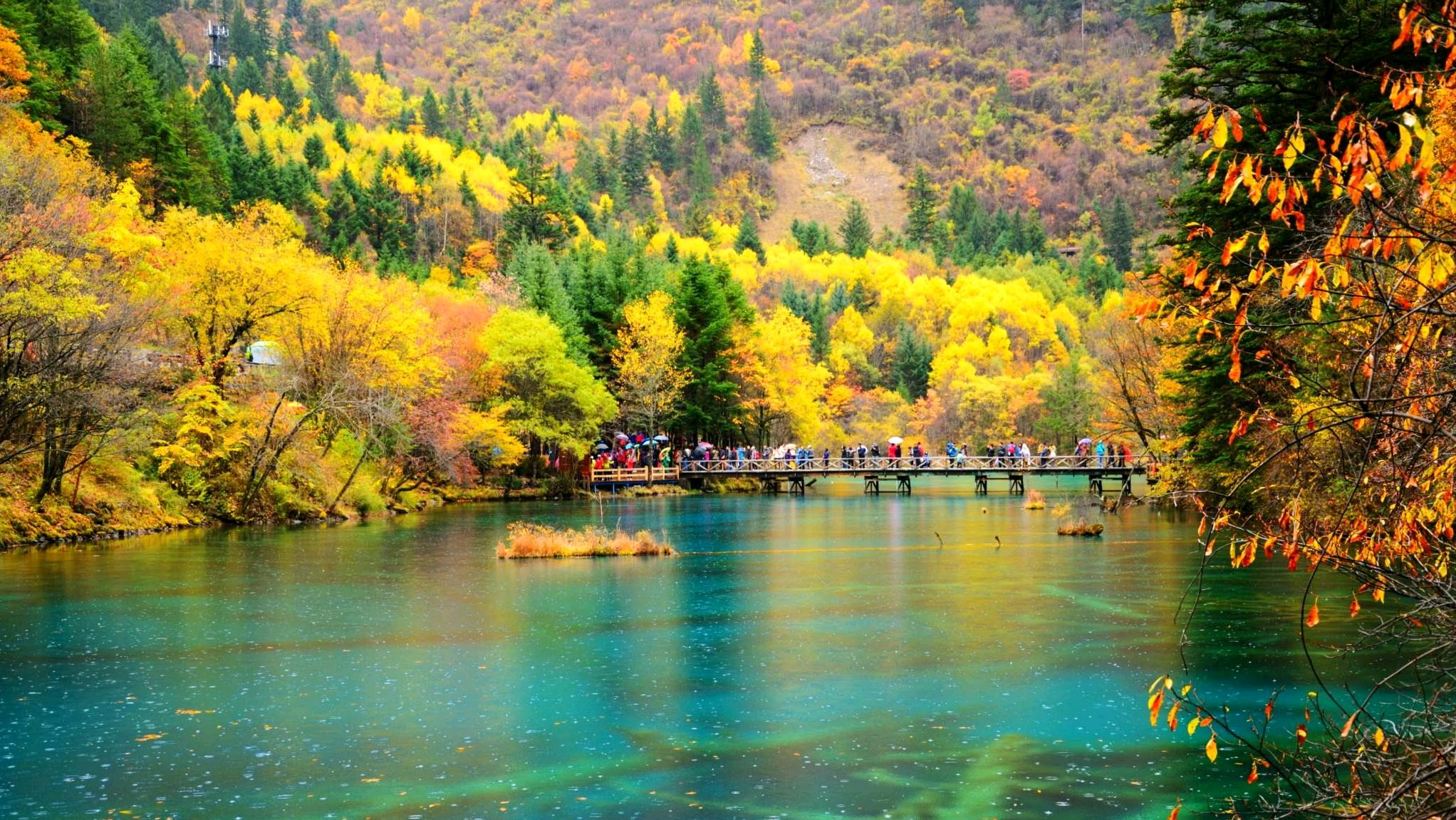 览绝色美景九寨沟,成都坐火车,飞机,班车或自驾,什么最便捷?