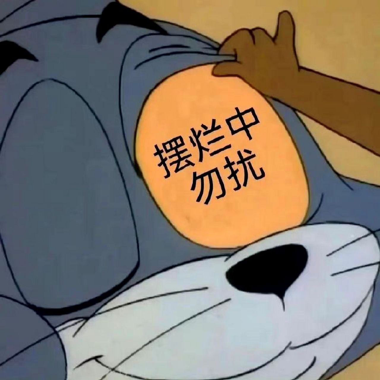 表情包:摆烂中,勿扰 #表情包