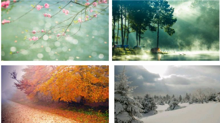 五年级语文上册二十二课《四季之美》课文笔记,自主预习的好帮手