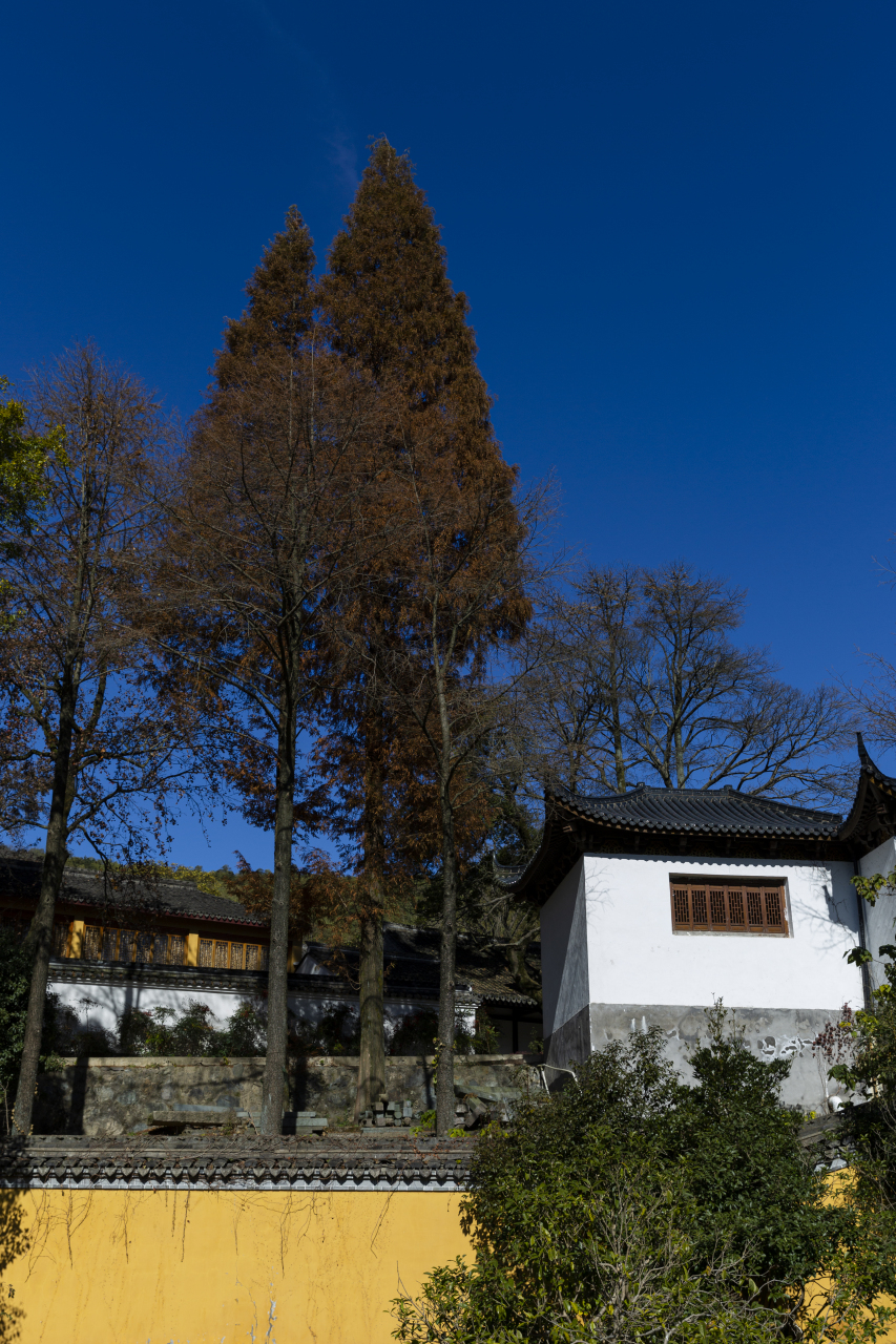 宁波五磊山风景区随拍@国宁影像汇