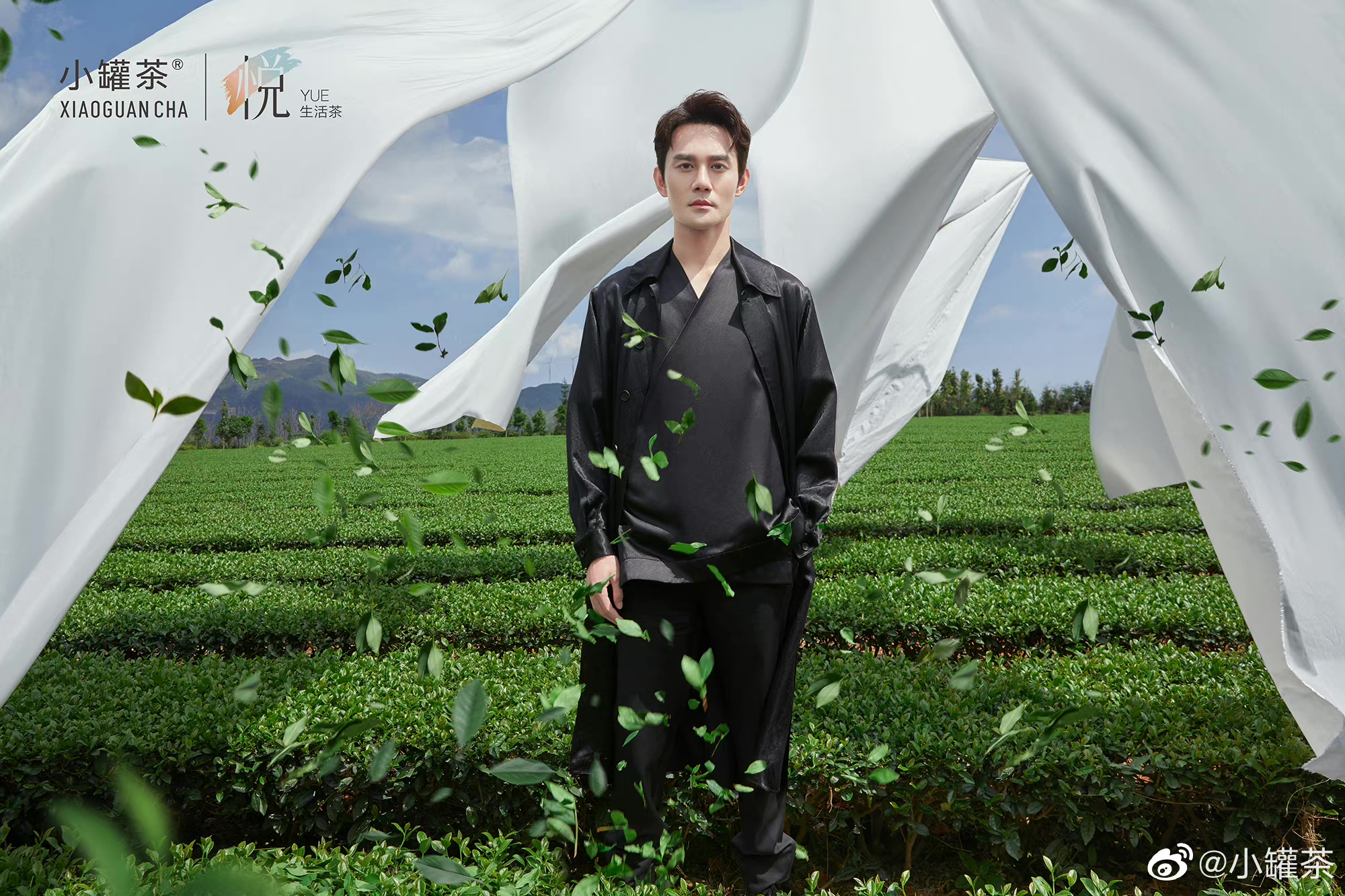 「王凯」小罐茶品牌代言人