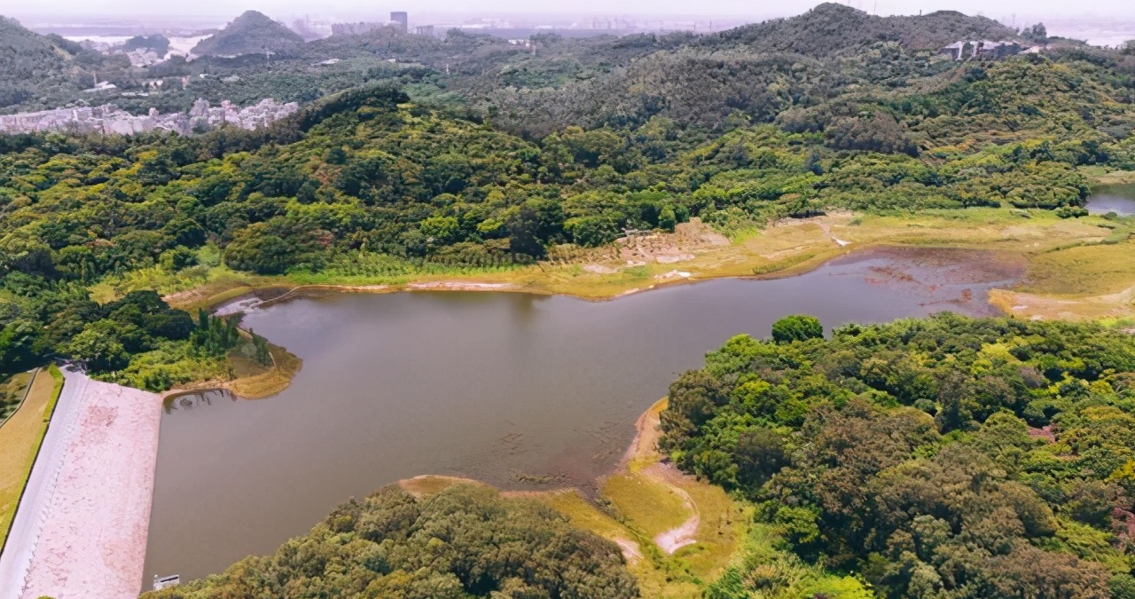 南沙黄山鲁森林公园,南沙人都应该来看看的好公园,景色真的不错