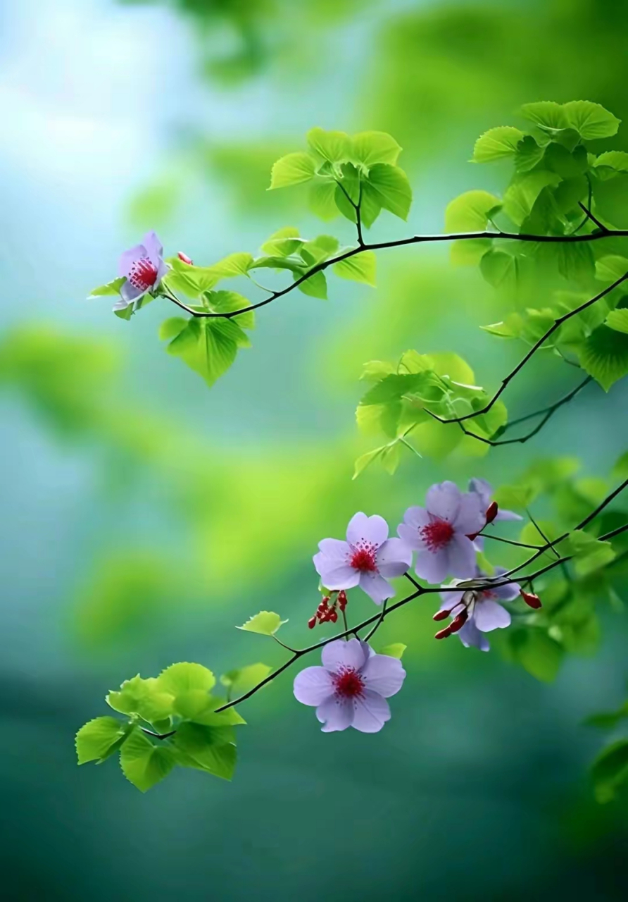 淡雅清新的紫色小花#摄影# #中国美景大赏# #冬天的第一张照片