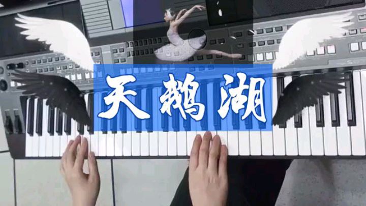 电子琴弹芭蕾舞剧《天鹅湖》场景音乐:宛如一首浪漫的抒情诗篇