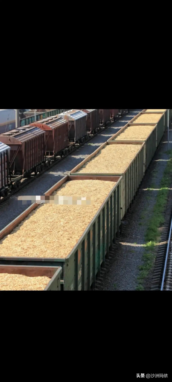 六个满载粮食的货运列车车厢在摩尔多瓦南部前往乌克兰途中脱轨翻车