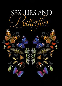 性感谎言和蝴蝶彩