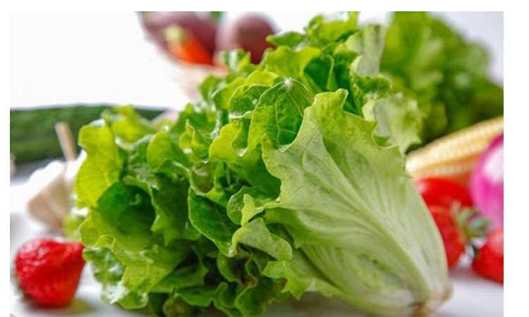 生菜和春菜的区别