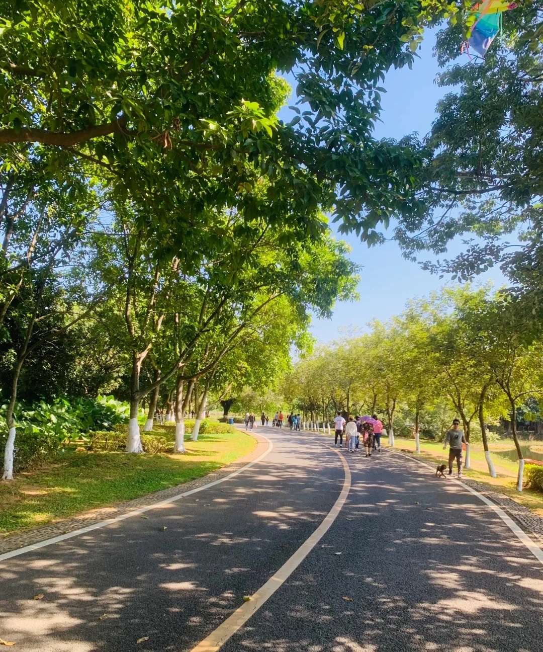 徒步,骑行-松山湖