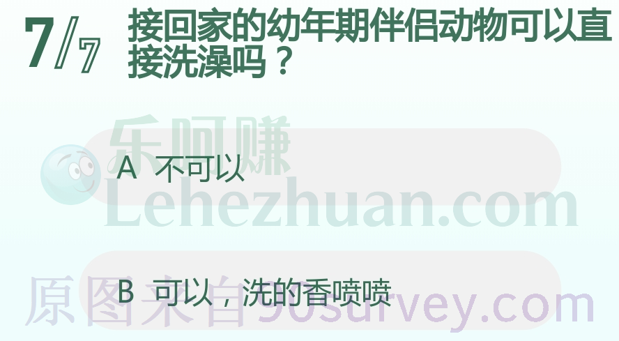 接回家的幼年期伴侣动物可以直接洗澡吗？