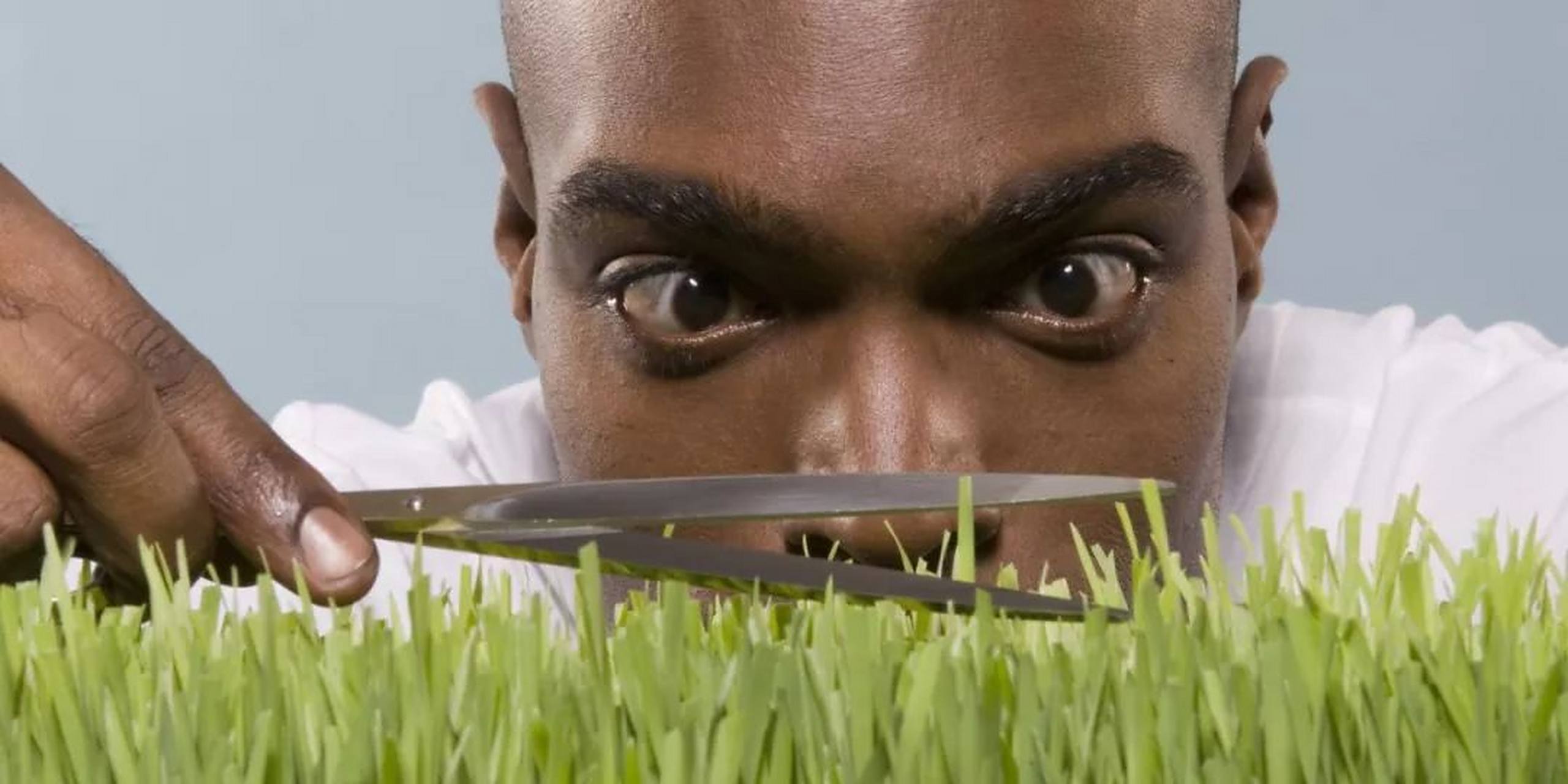 十二生肖中有哪些是完美主义者?  1.