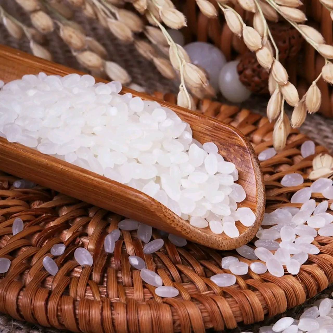 漏继续——  【00jd旗舰店】盘锦大米 蟹田米10斤 当季新米  92实