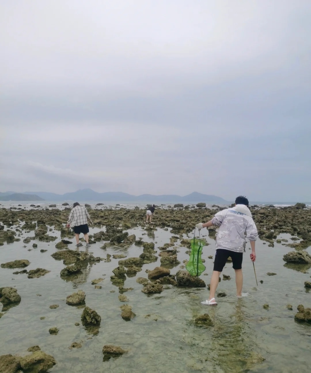 三亞市區趕海望周知!