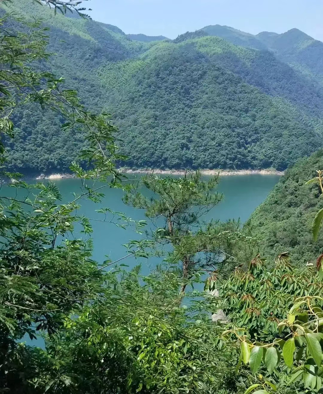 这就是白溪水库的美丽风景,它成为了这座城市的一张亮丽的名片