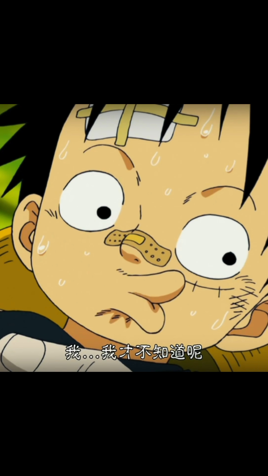 原来路飞撒谎是达旦他们教的-度小视