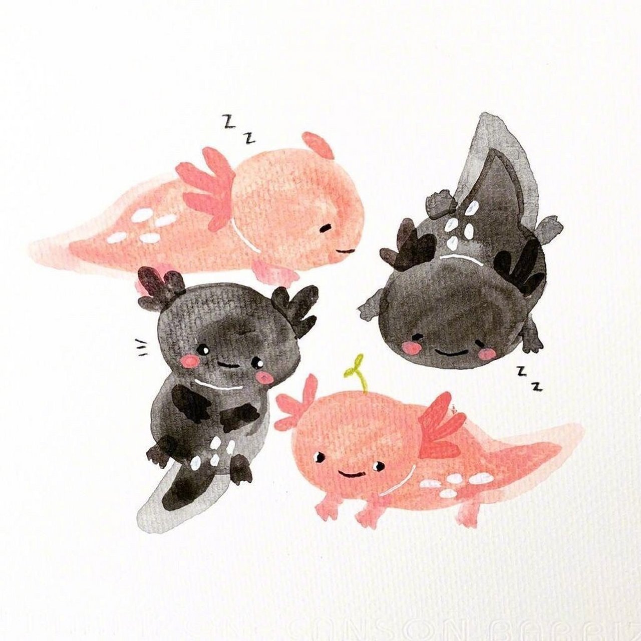 插画师 calliandco 笔下的一组可爱水彩小动物#插画#  67 6767