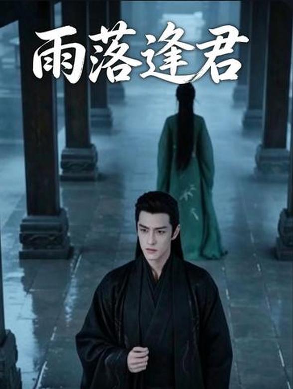 雨落逢君封面图