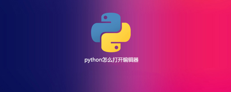 如何在python中打开编辑器