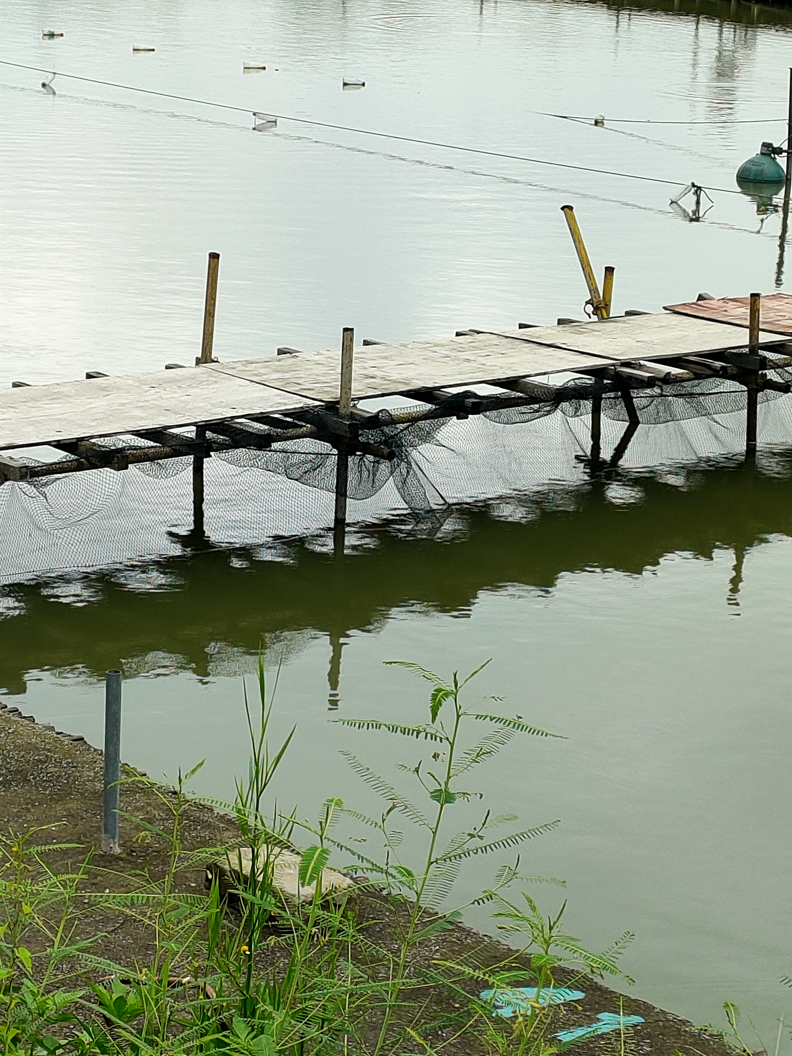 钓鱼场6小时80块钱,老板还能赚到钱吗?都没什么人去钓