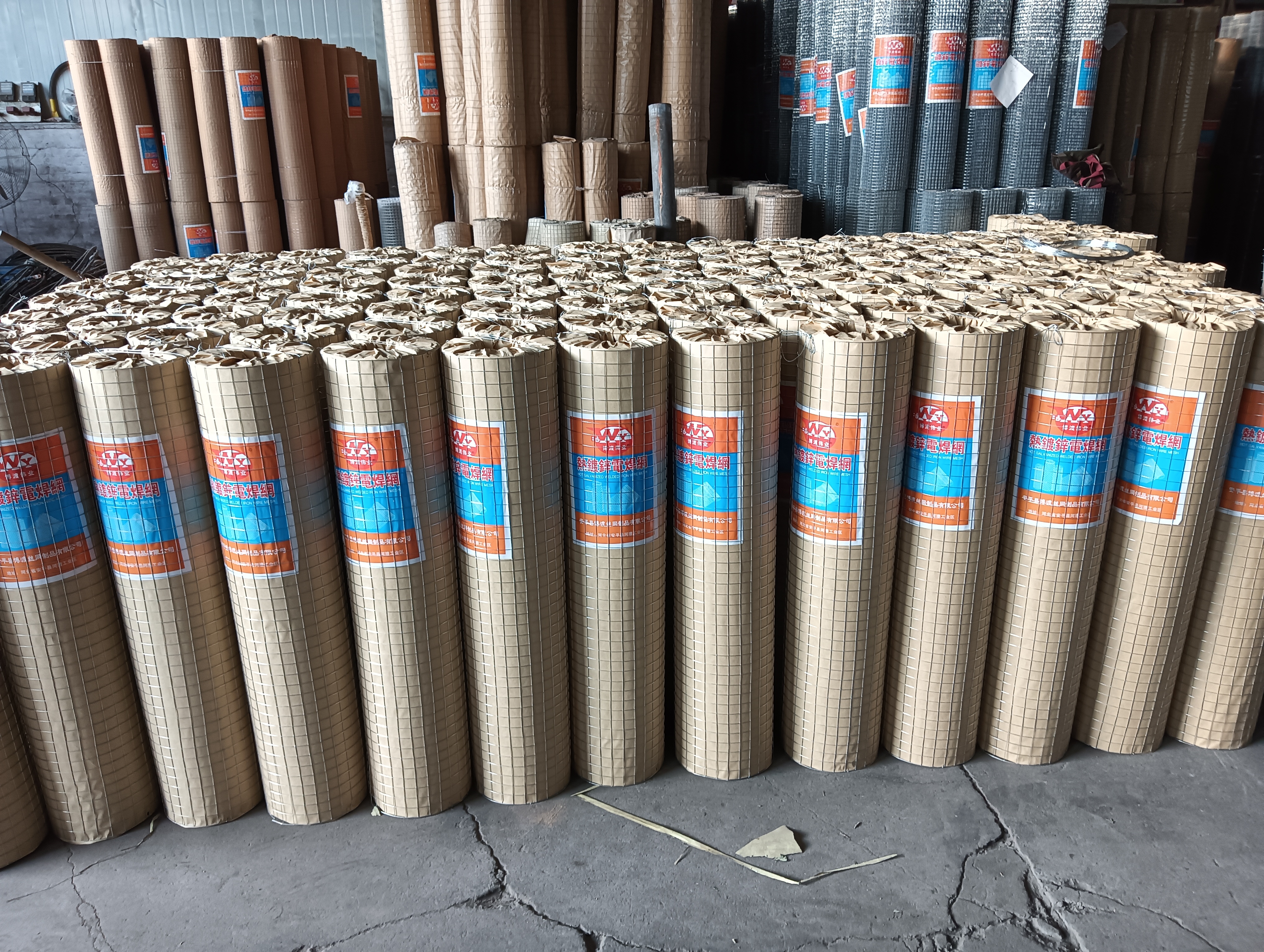 镀锌电焊网 抹墙电焊网 安平博渡丝网制品有限公司