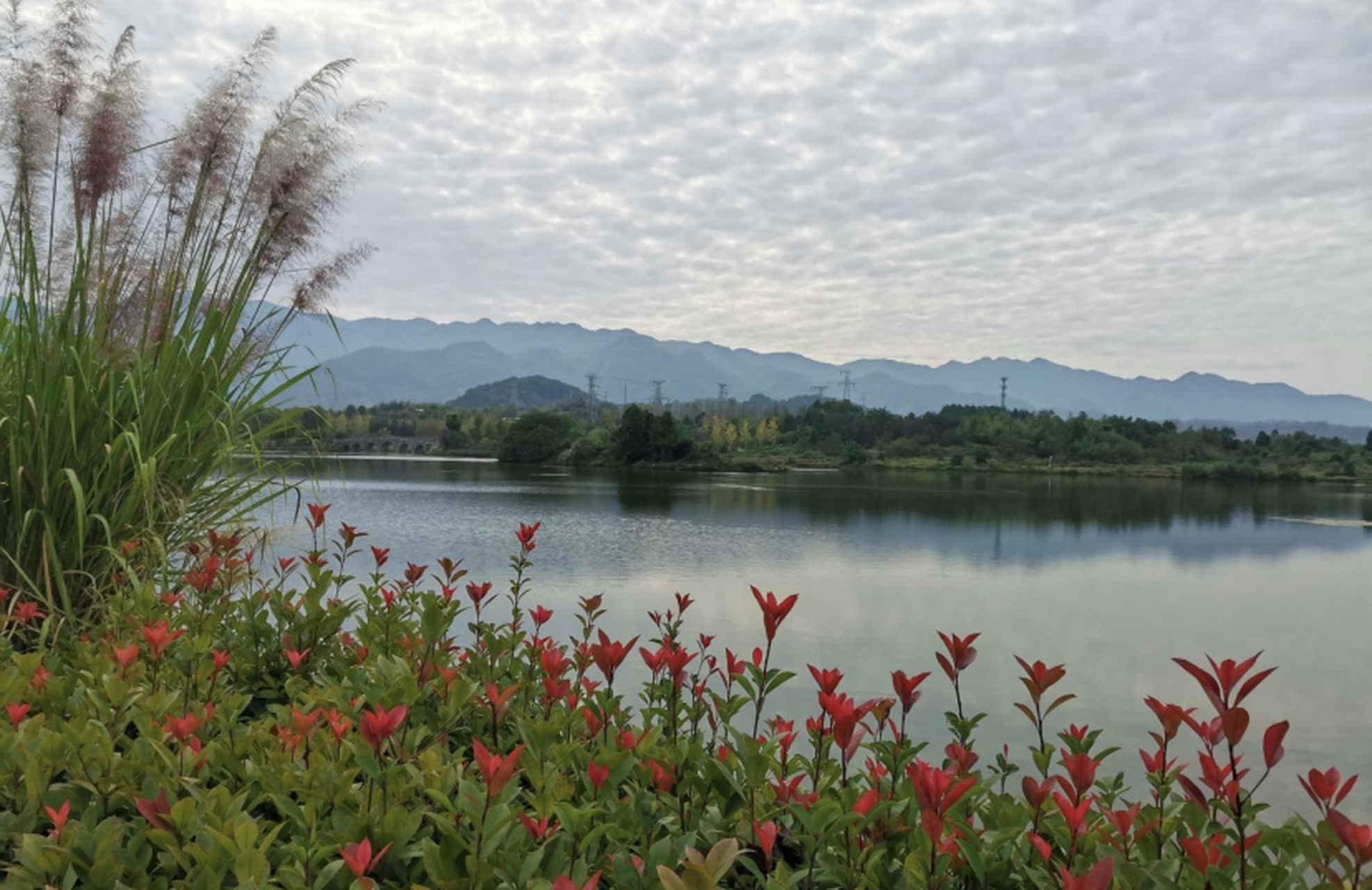 双桂湖国家湿地公园图片