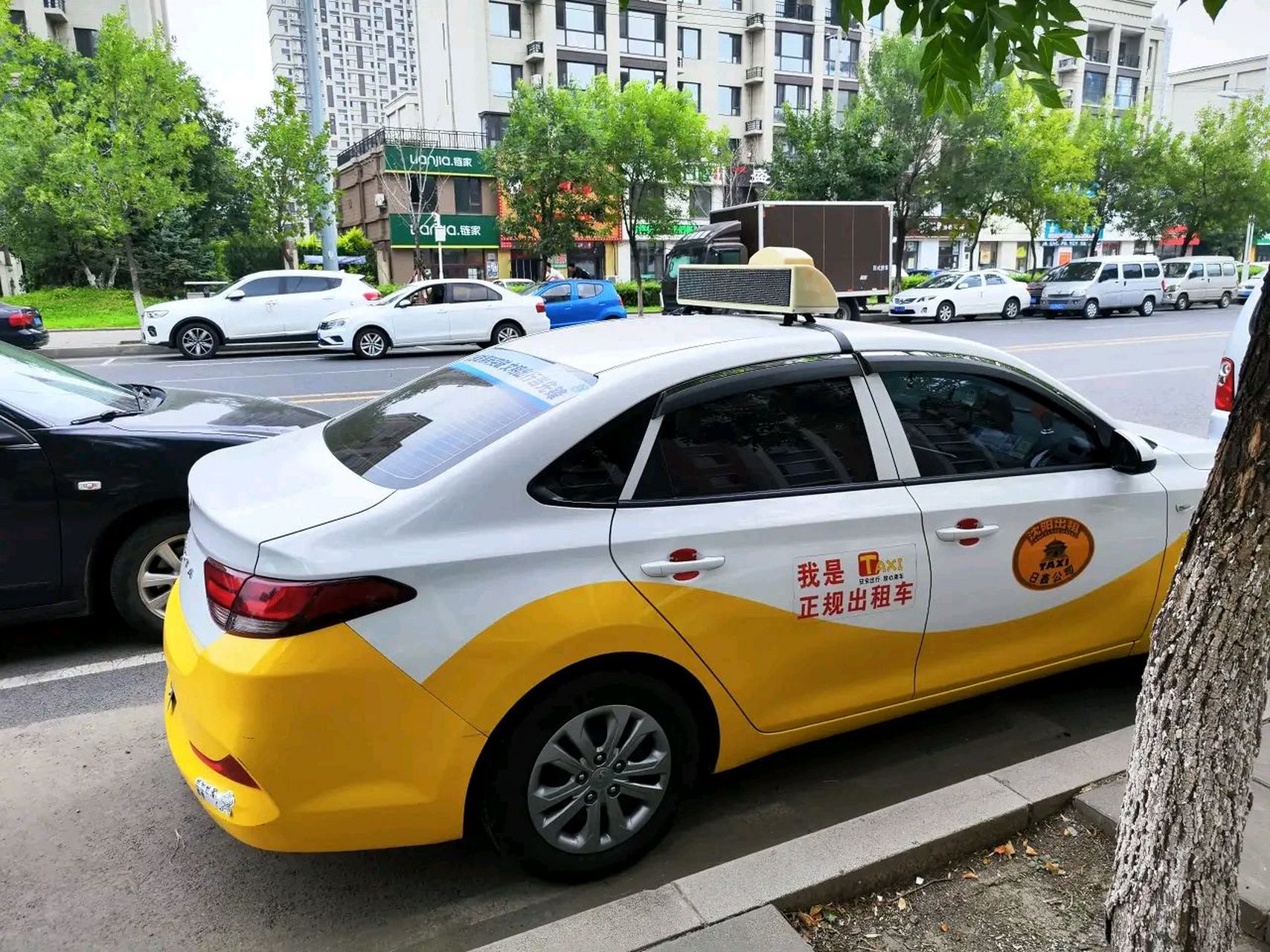 沈阳中华出租车图片
